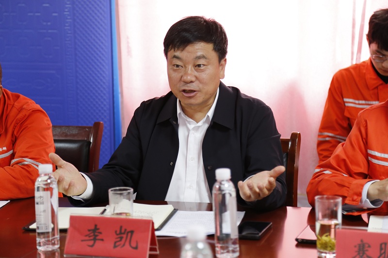 西能集團(tuán)黨委委員、副總經(jīng)理李凱.JPG